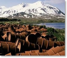 Arctic National Wildlife Refuge - ANWR- Caribou, Birds