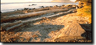 Wrangell
