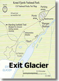 Exit glacier