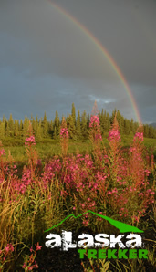 denali_rainbow