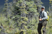 The Northern Boreal Bird Nursery