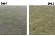 Face of Anaktuvuk River tundra pitted by tundra fire