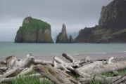 The Beauty of Alaska’s St. Matthew Island