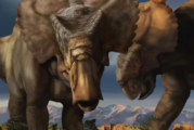 Discovering A New Dinosaur In Alaska – Pachyrhinosaurus Perotorum