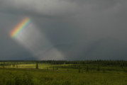 Denali National Park Rainbow