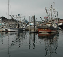 Kodiak Alaska is the second largest fishing port in the USA