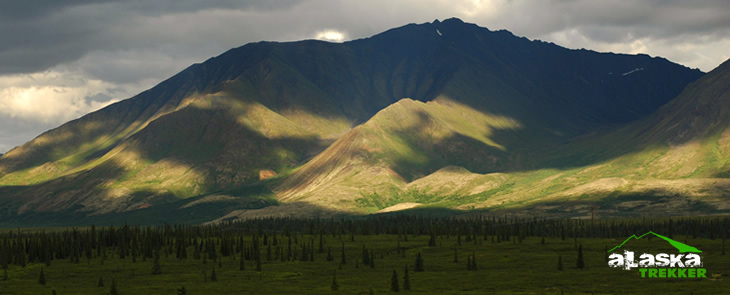 denali_hiking