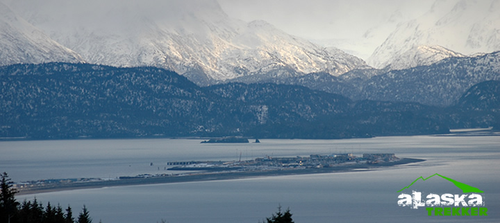 homer_alaska