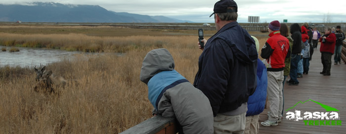 potter_marsh_viewing_platform