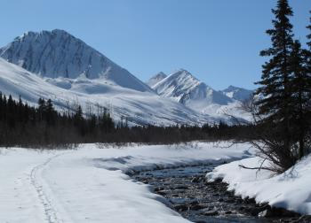 Denali has the clearest air of any monitored U.S. national park. Photo by Ned Rozell 