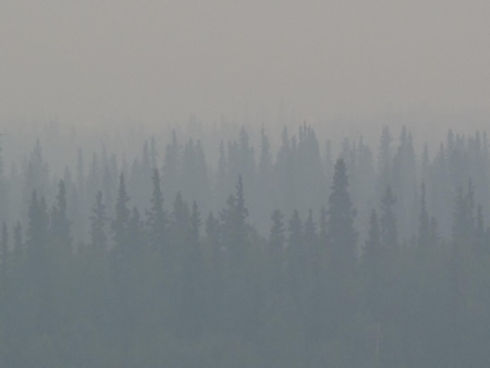 wildfire
