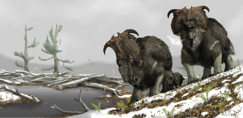 Pachyrhinosaurus_alaska
