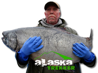 alaska_trekker_salmon