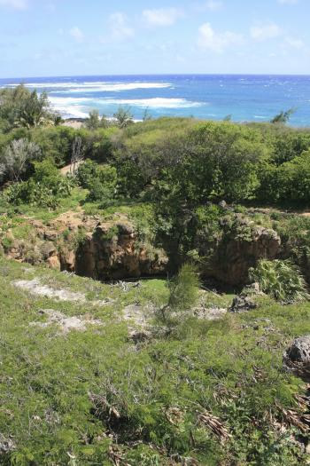 The Makauwahi Sinkhole on Kauai, which contains ocean deposits carried there by a tsunami, probably generated from an earthquake off the Aleutians about 500 years ago. 