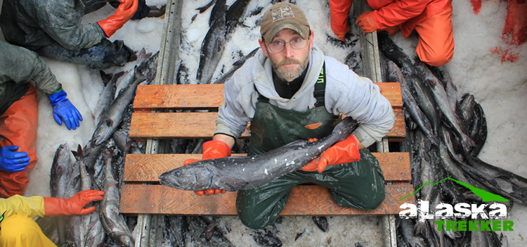 Alaska Commercial Fishing