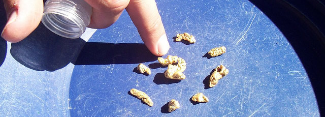 Gold Panning at Gold Creek from Juneau, Alaska 