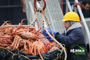 Alaska Dock Worker