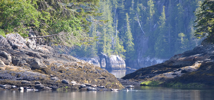 Misty Fiords National Monument - Misty Fjords Alaska Tours