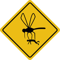 mosquitoes_in_alaska