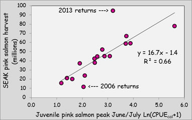 pink_salmon_forecast