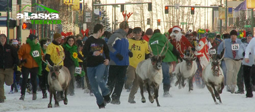 running_with_the_reindeer