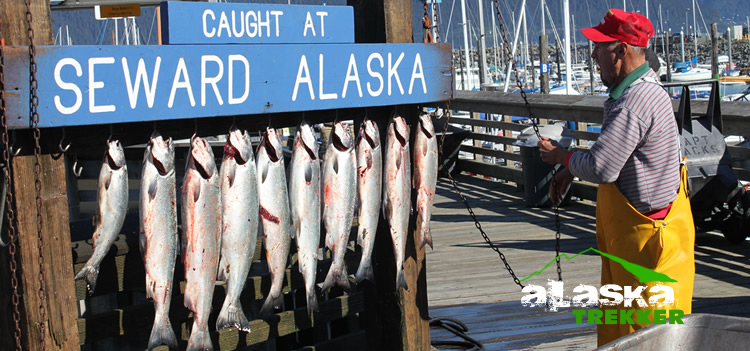 Alaska Fishing Charters has sportfishing charters everywhere