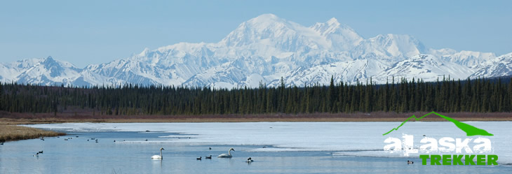 talkeetna_alaska